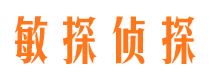 图们市侦探